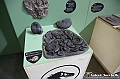 VBS_0847 - Dinosauri. Terra dei giganti